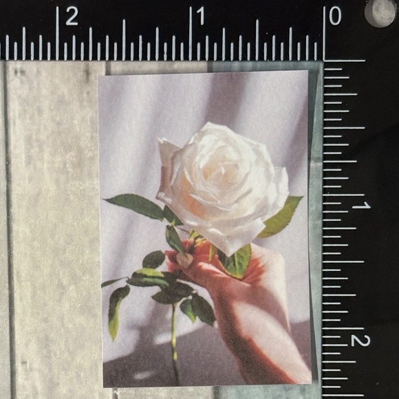 ๐10/$10๐ White Dream Reusable Washi Sticker Decal - Picture 1 of 1